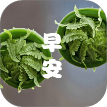 成友早安