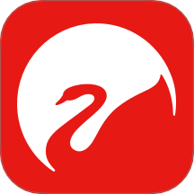 Swan Audio