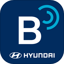 Bluelink