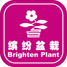 缤纷盆栽