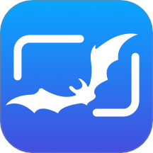 蝙蝠bat