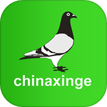 中国信鸽信息网