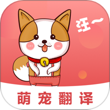 人狗交流