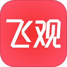 飞观